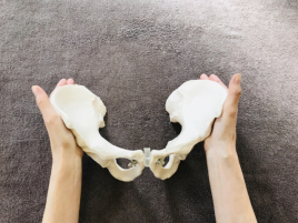 アルファ鍼灸整体院 骨格・骨盤矯正のメニュー画像