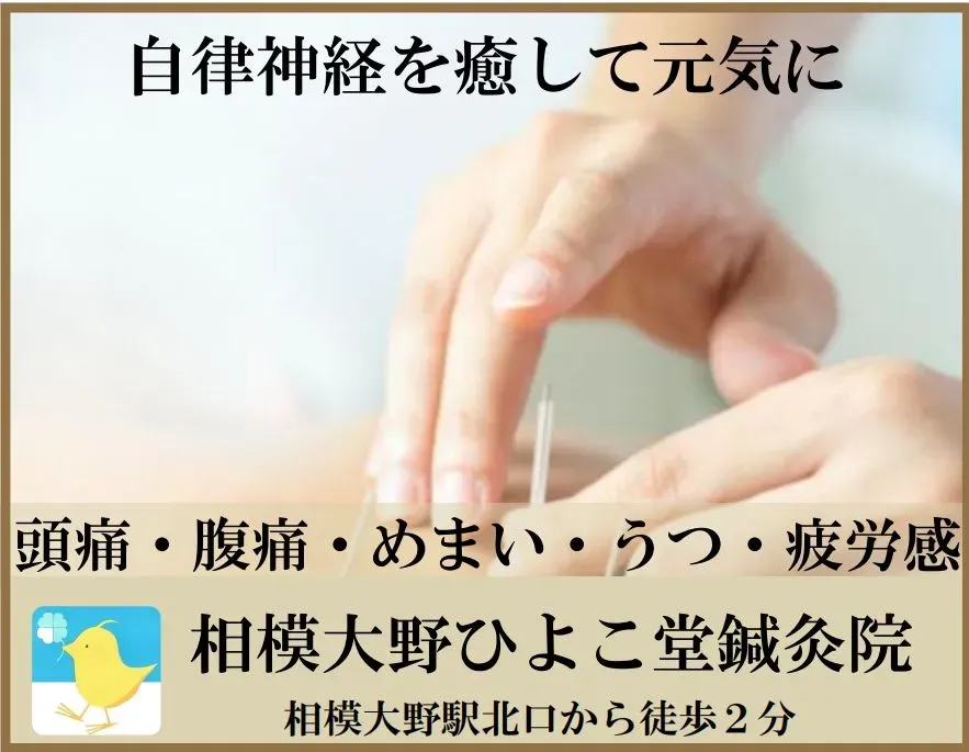 相模大野ひよこ堂鍼灸院