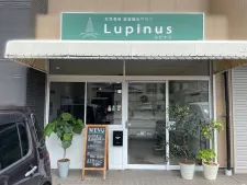 女性専用美容鍼灸サロンLupinus