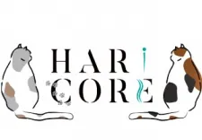 こいわ鍼灸院HARICORE
