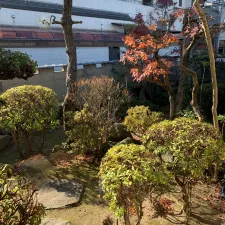 ひまわり鍼灸マッサージ院