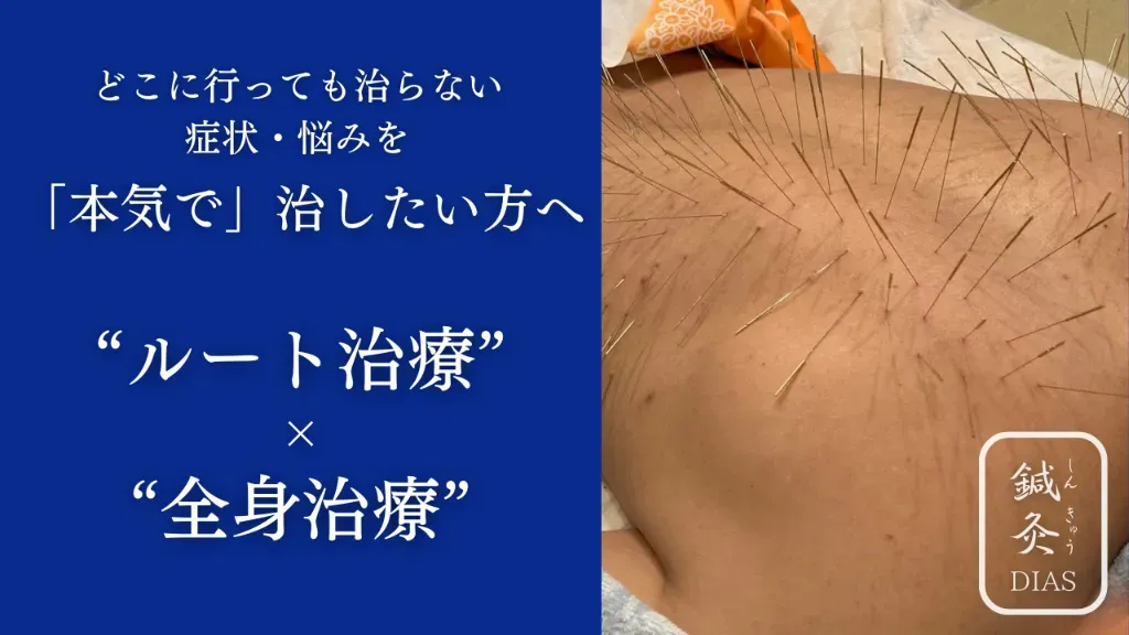 鍼灸DIAS