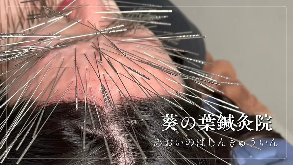 葵の葉鍼灸院