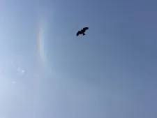 そらいろ治療室