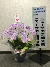 ニューサカエ治療院