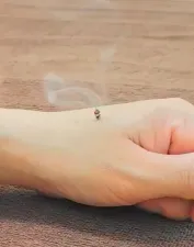 はりきゅう和巡