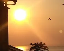 はりきゅうまりん