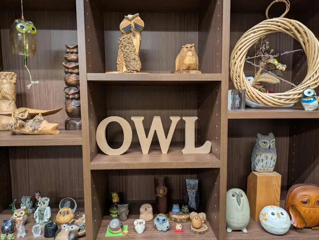 Owl治療室