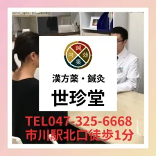 漢方薬・鍼灸 世珍堂