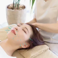 salon de Amer