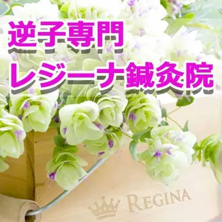 レジーナ鍼灸院