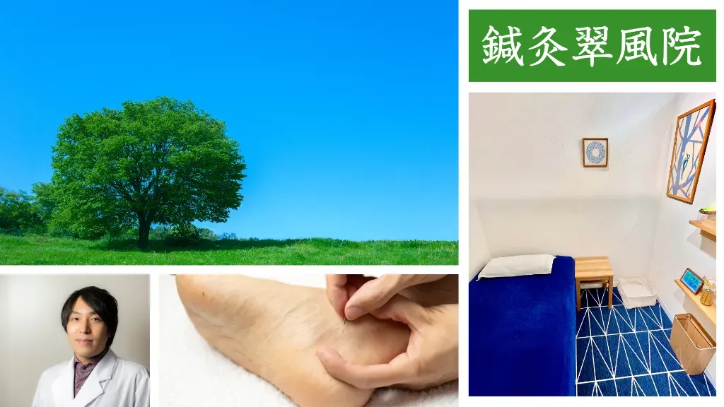 鍼灸　翠風院