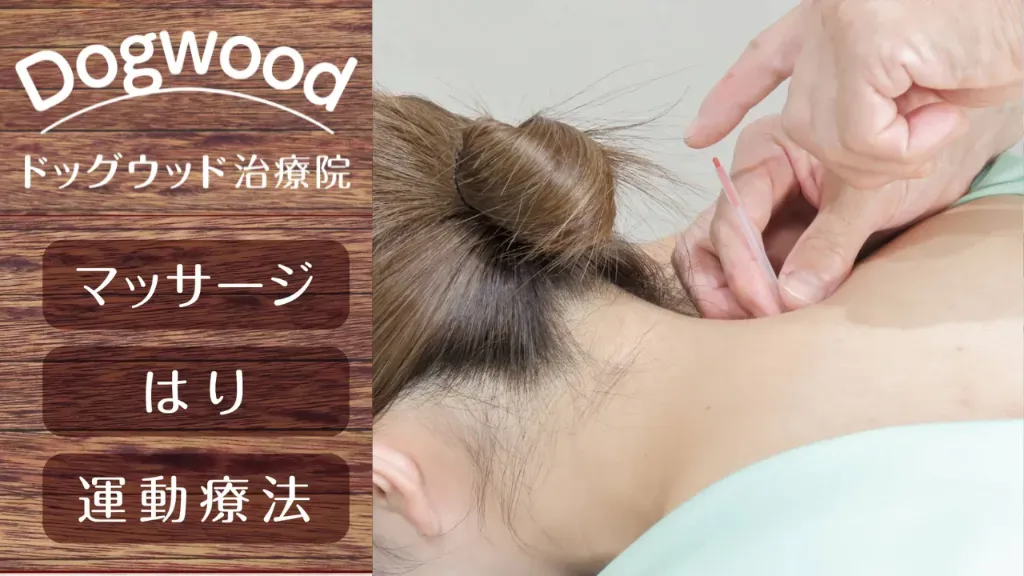 はり灸マッサージ治療院Dogwood