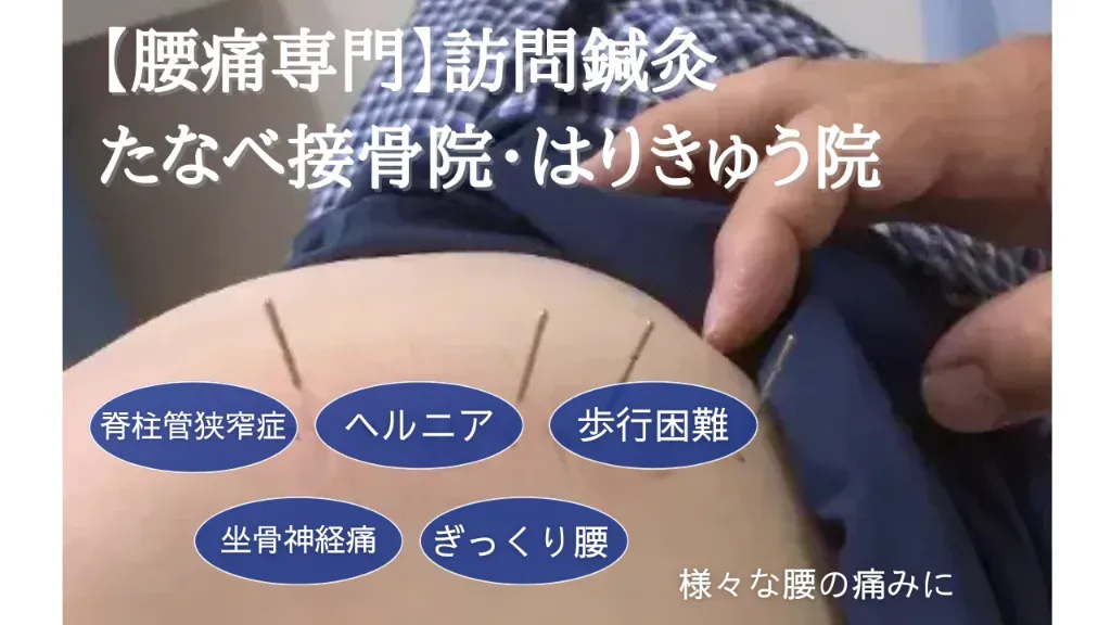 【腰痛専門】たなべ接骨院・はりきゅう院