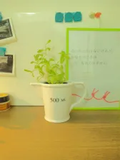 三鷹南口整骨鍼灸院