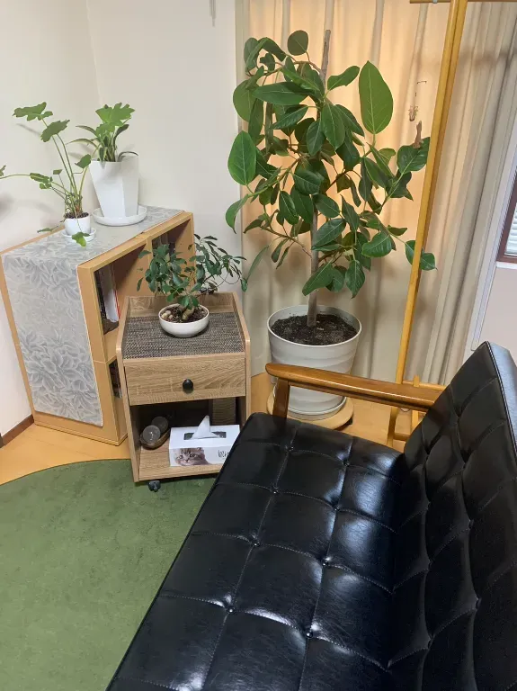鍼灸サロンSachi