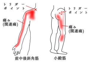 ハクチョウ鍼灸整骨院のこだわりポイント