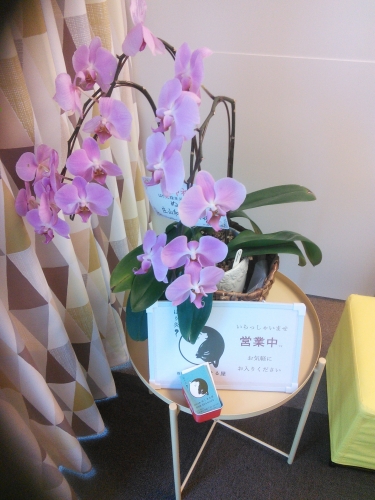 はり灸指圧治療 ぬくまる屋のこだわりポイント