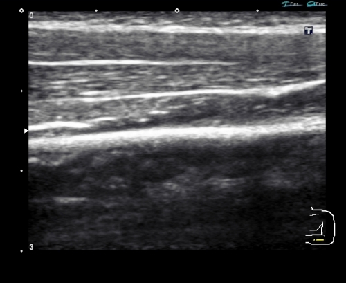 鍼灸指圧自然堂のこだわりポイント
