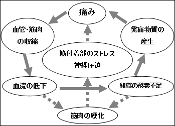 しせい堂治療院のこだわりポイント