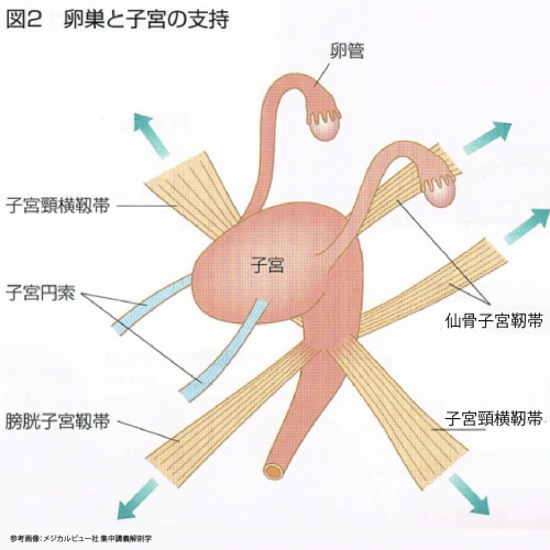 千葉高齢不妊専門美浜鍼生堂のこだわりポイント