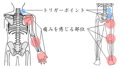 にしかわ鍼灸整骨院のこだわりポイント