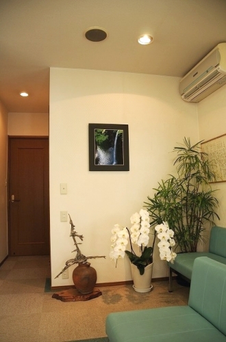 大矢鍼灸院のこだわりポイント