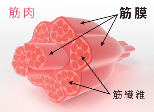 緑が丘はり灸治療院のこだわりポイント