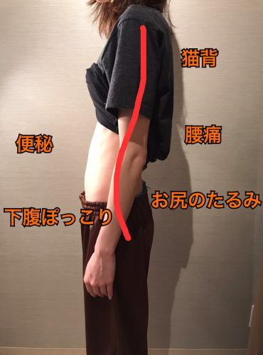 アピール写真