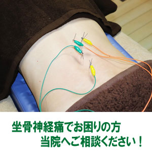 アピール写真