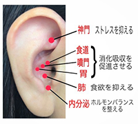 安井鍼灸整骨院のこだわりポイント