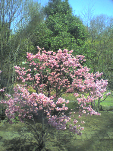 鍼灸仲町台治療院のこだわりポイント