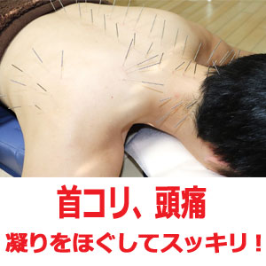アピール写真