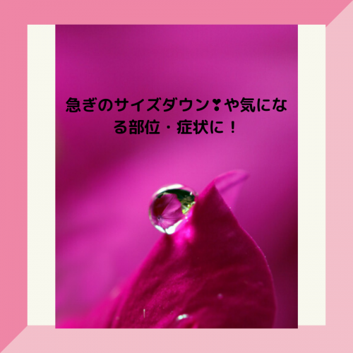 アピール写真