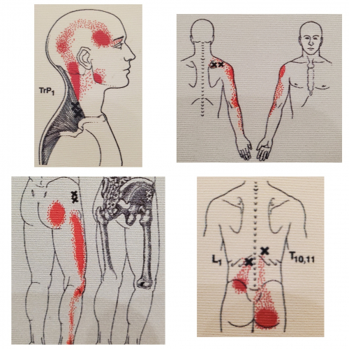 コルポ整骨院のこだわりポイント