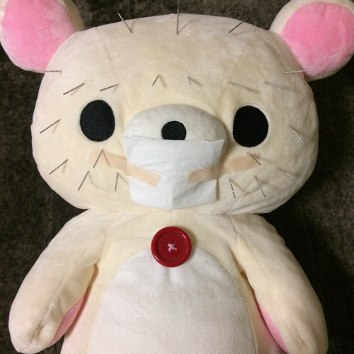 アピール写真