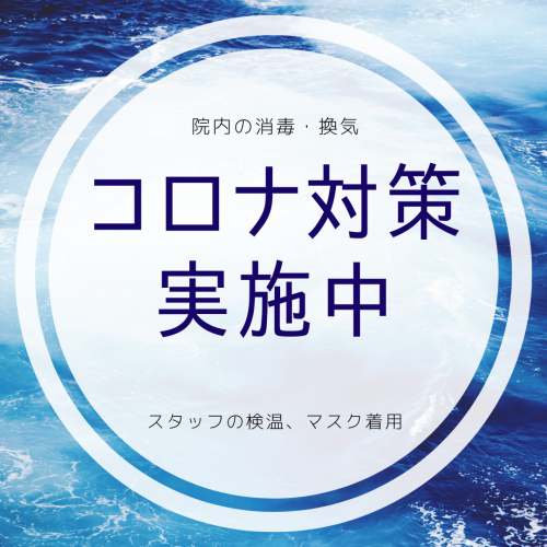 アピール写真
