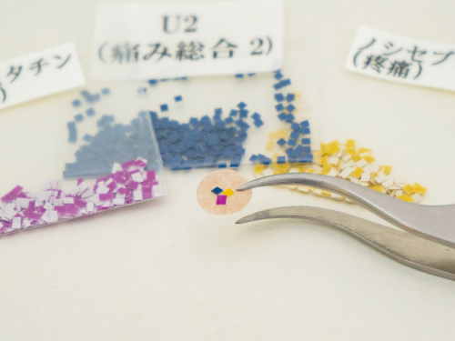 アピール写真