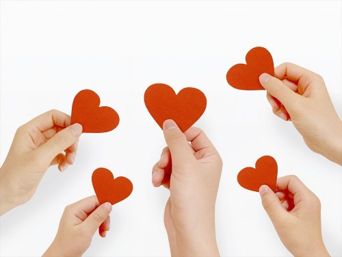 はりきゅう眞奈のこだわりポイント