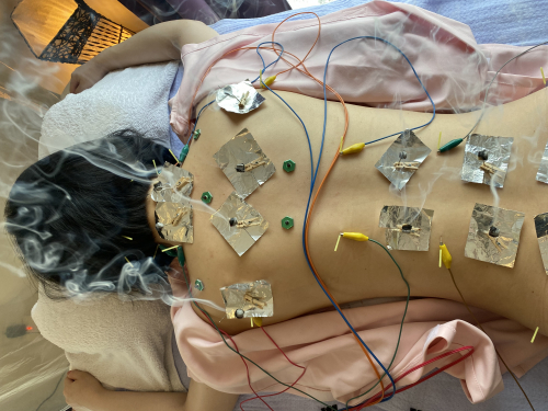 はりきゅう にしはら 東京白金のこだわりポイント