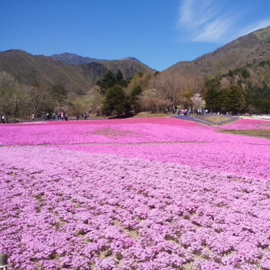 中村温灸院のこだわりポイント