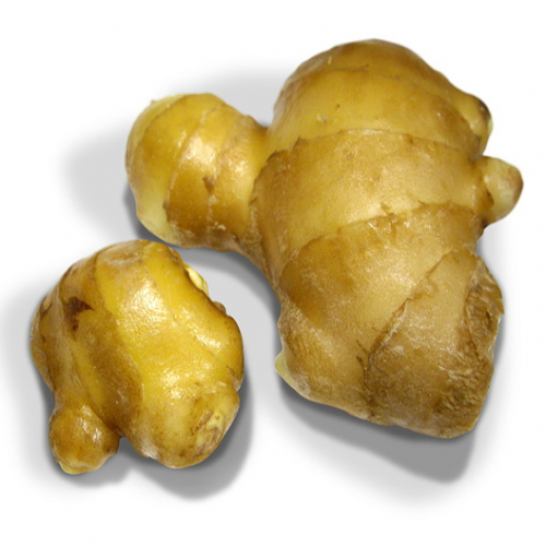 中村温灸院のこだわりポイント