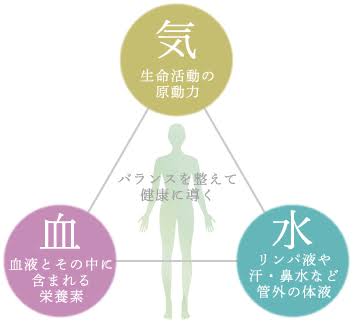 アピール写真