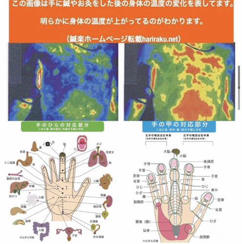 アピール写真