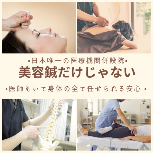 アピール写真