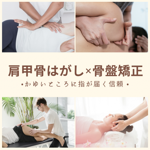 アピール写真