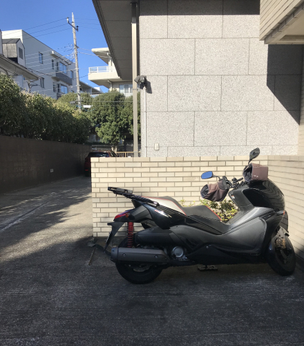 アピール写真