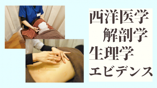 えだ鍼灸整骨院のこだわりポイント