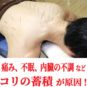 アピール写真