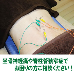 アピール写真